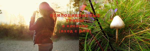 apvp Баксан