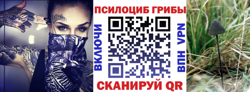 Псилоцибиновые грибы ЛСД  хочу наркоту  Свирск 